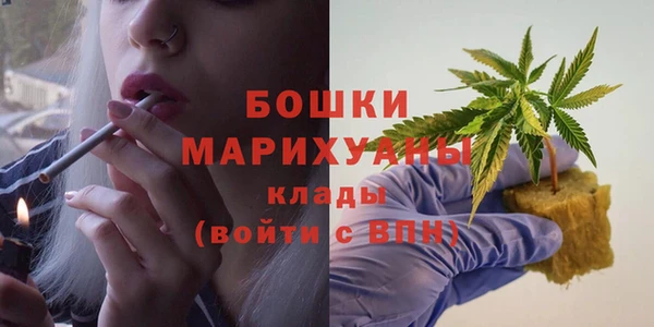 метадон Инсар
