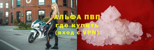 стафф Инта