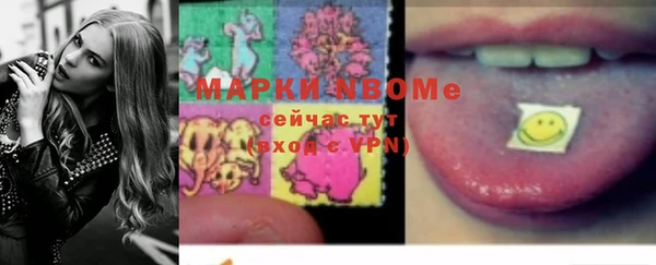 стафф Инта