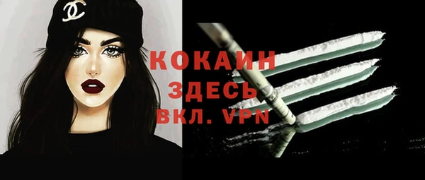 стафф Инта