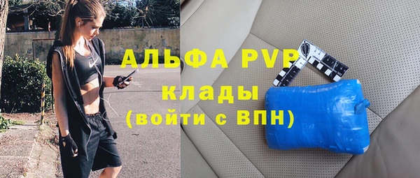 стафф Инта