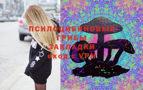 стафф Инта