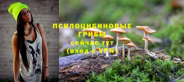 метадон Инсар