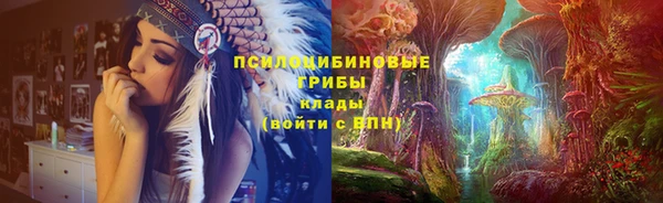 стафф Инта