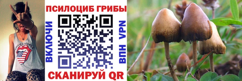Галлюциногенные грибы ЛСД  Купить закладки  Бугуруслан 